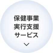 保健事業実行支援サービス